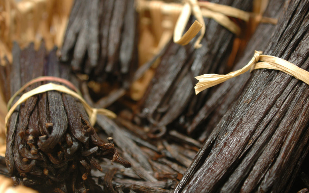 Shank’s Pure Vanilla Extract