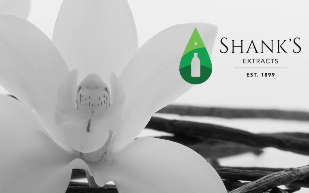 Introducing our new look!
