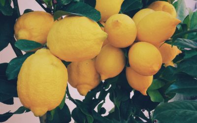 What is a Distillate?