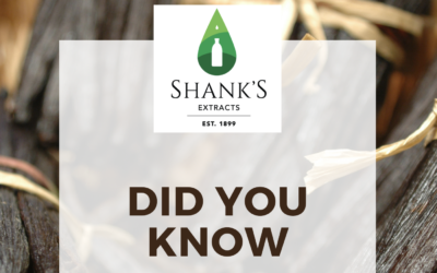 Did you know – Vanilla Facts